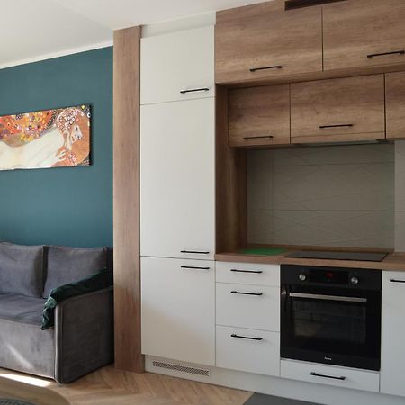 Apartment Sosnowiec City - Free Parking - Easy Check-In Екстериор снимка